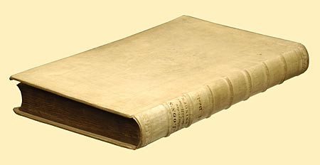 Kavel 459