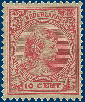 Kavel 2843