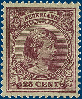 Kavel 2855