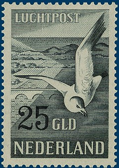 Kavel 3269