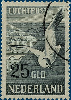 Kavel 3272