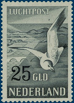 Kavel 3268