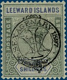 Lot 1315