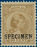 Lot 2838