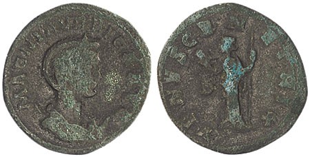 Kavel 1152