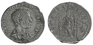 Kavel 1142
