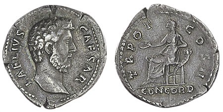 Kavel 1136