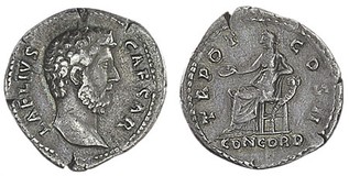 Kavel 1136