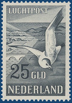 Kavel 2411