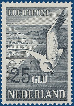 Kavel 2412