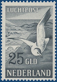Lot 2414