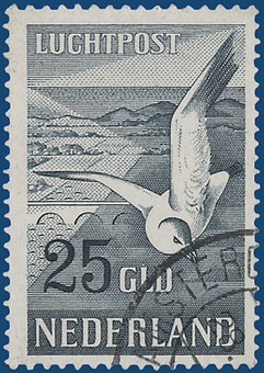 Lot 2420