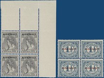 Kavel 2441