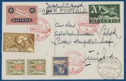 Lot 1176