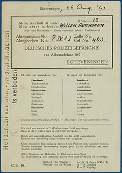 Lot 3135