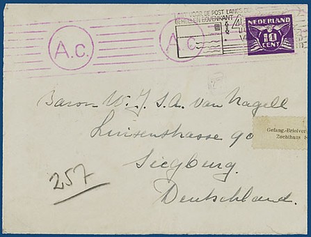 Lot 3137