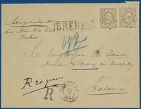 Lot 3560