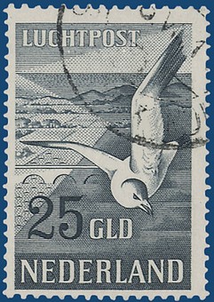 Kavel 2421