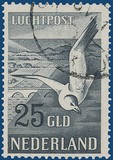 Kavel 2421