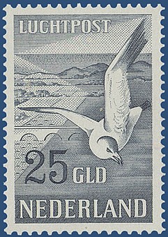 Kavel 2336