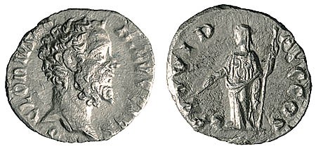 Kavel 2368