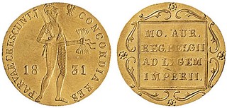 Kavel 1173