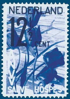 Kavel 831