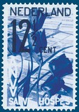 Kavel 831