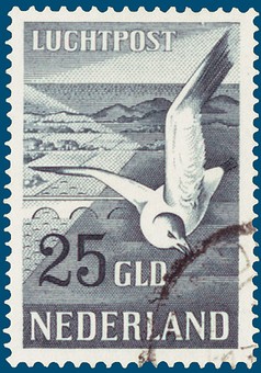Lot 982