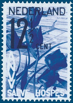 Kavel 830
