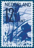Kavel 832