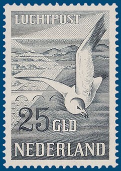 Kavel 3341