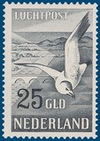Kavel 3343