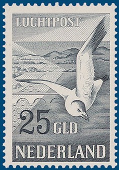 Kavel 3345