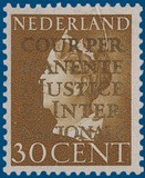 Kavel 3384