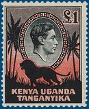 Lot 1132