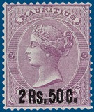 Lot 1134