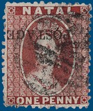 Lot 1135