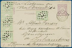 Lot 4891
