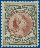 Kavel 3100