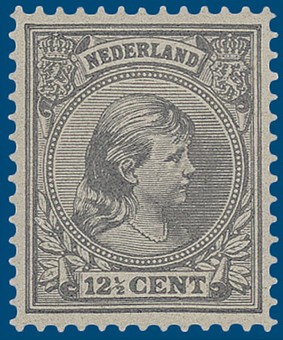 Kavel 2833