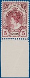 Lot 2849