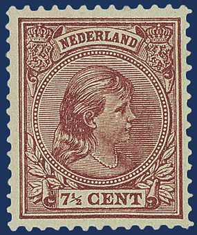 Kavel 2584