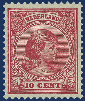 Kavel 2589