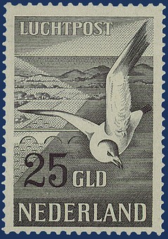 Kavel 2943