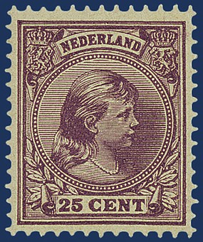 Kavel 2607