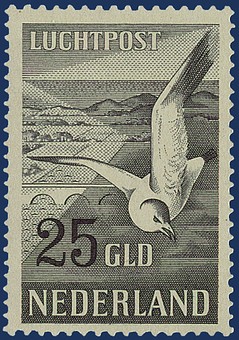 Kavel 2940