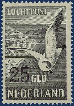 Kavel 2942