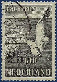 Kavel 2945