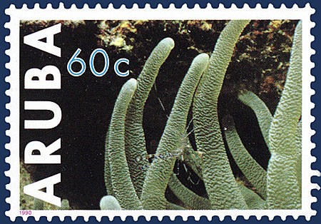 Kavel 3250
